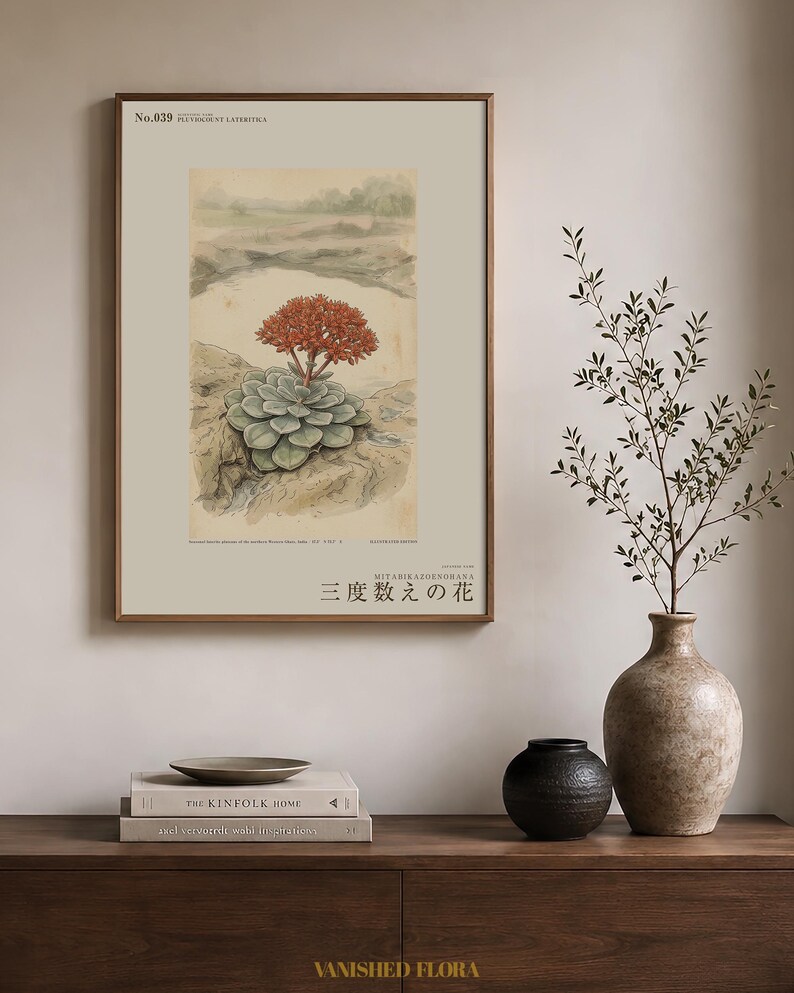 Vanished Flora Print – Thrice-count Flower, Western Ghats Botanical Illustration (Digital Download) image 3