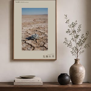 Forerunner Herb Photograph – Praesagia eyrensis, Fictional Succulensis, Moody Interiors Wall Decor (Digital Download) Bild 3