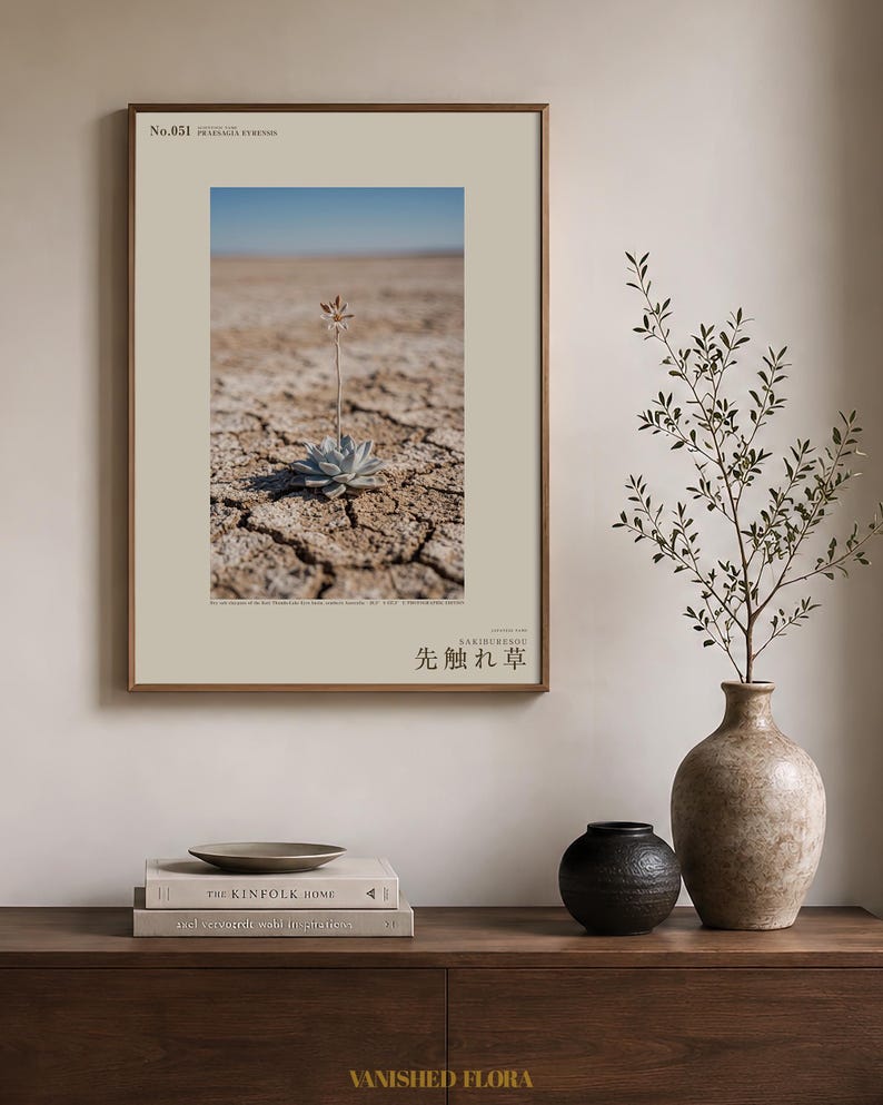 Forerunner Herb Photograph – Praesagia eyrensis, Fictional Succulensis, Moody Interiors Wall Decor (Digital Download) Bild 3