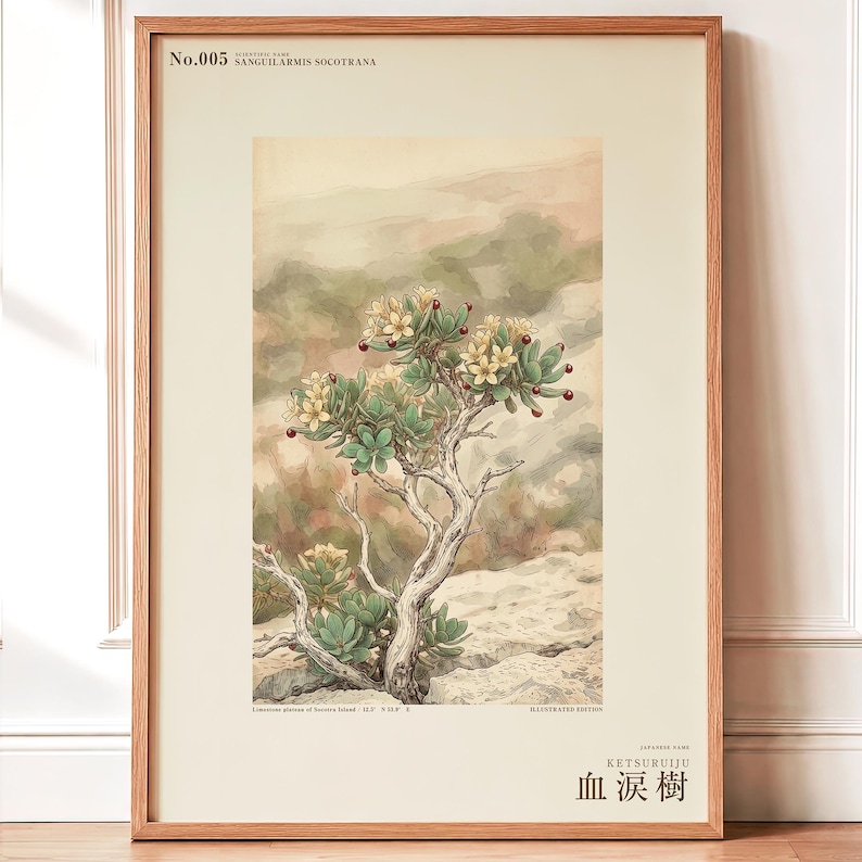 Socotran Bloodtear Print – Extinct Succulent Botanical Art (Digital Download) image 1
