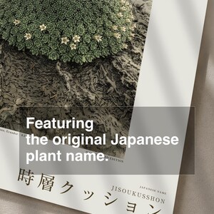 Time-layer Cushion Print – Vanished Andean Plant, Pulvina chronostrata antisanensis (Digital Download) image 6