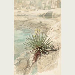 Receding Rockbloom Expedition Sketch – Fictional Caatinga Flower Print (Digital Download) image 2