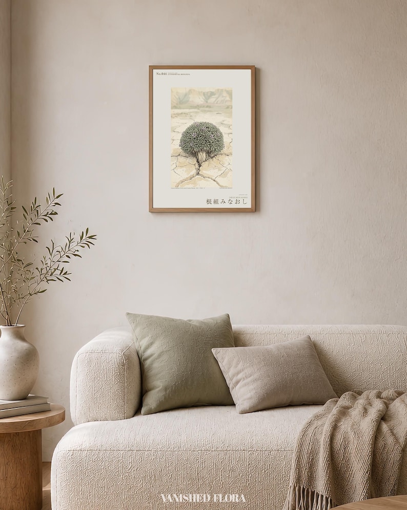 Vanished Flora Print – Gypsophyma Reficiens Botanical Illustration (Digital Download) bild 4
