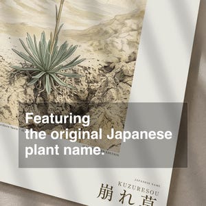 Crumbling-edge Herb Botanical Print – Extinct Bardenas Badlands Flora (Digital Download) image 6