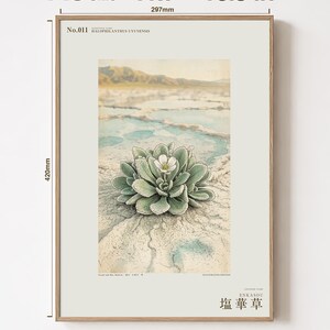 Salt Ember Specimen Print – Imaginary Uyuni Salt Flat Flower, Botanical Study (Digital Download) image 5