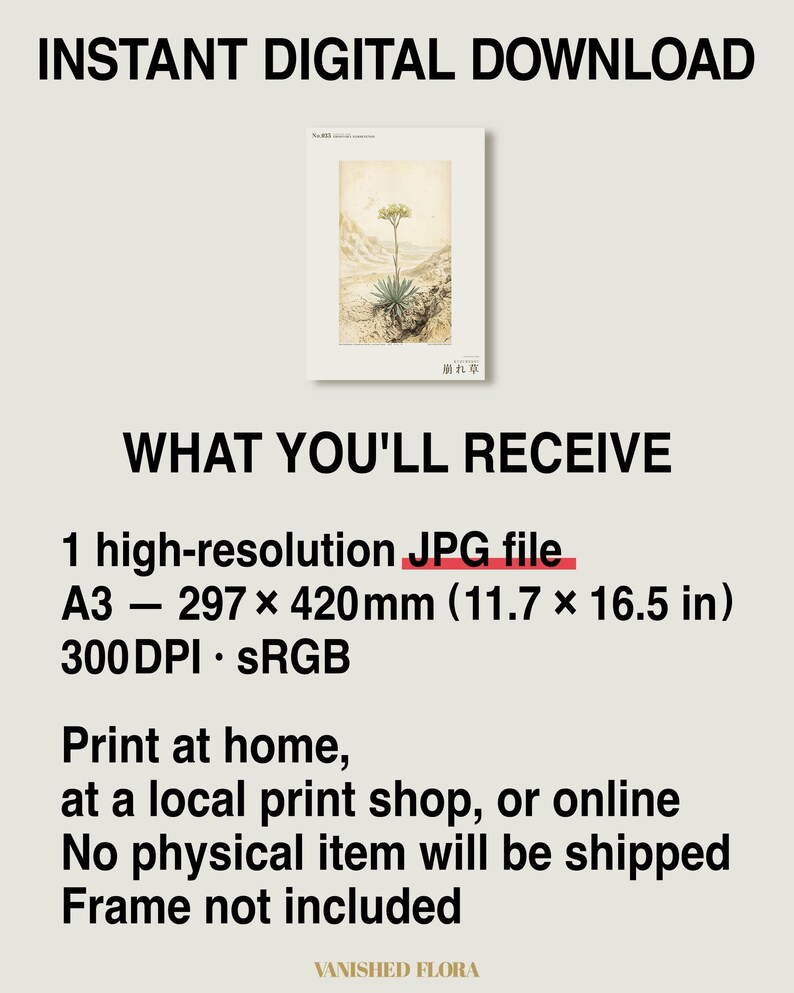 Crumbling-edge Herb Botanical Print – Extinct Bardenas Badlands Flora (Digital Download) image 8