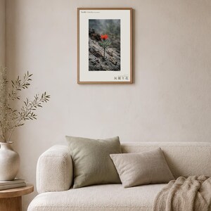 Fotografie der Eschenschleierblume – Ausgestorbene scharlachrote Blüte, gotisches Wandbild (Digitaler Download) Bild 4
