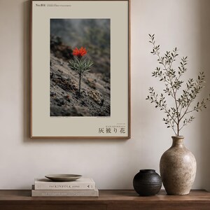 Fotografie der Eschenschleierblume – Ausgestorbene scharlachrote Blüte, gotisches Wandbild (Digitaler Download) Bild 3