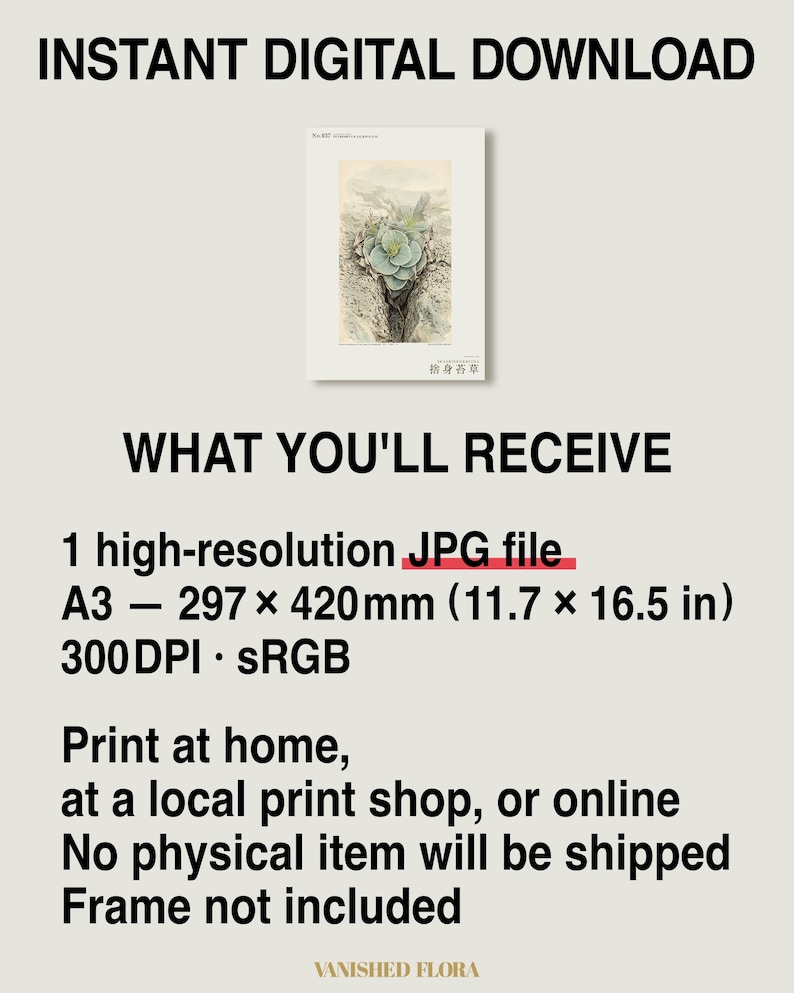 Sacrificial Rockmoss Print – Fictional Cameroon Plant, Archive Flora (Digital Download) image 8