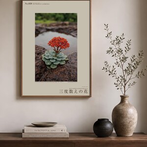 Thrice-count Flower Photograph – Pluviocount Lateritica, Dark Academia Art (Digital Download) image 3