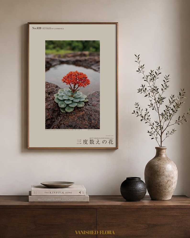 Thrice-count Flower Photograph – Pluviocount Lateritica, Dark Academia Art (Digital Download) image 3