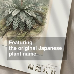架空の雨芒草プリント – プルビフォリア・ネオゼランディカ、ムーディーなボタニカルアート（デジタルダウンロード） 画像 6