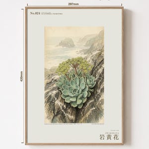 Seabird Cliffbloom Specimen Print – Guanophila maritima, Vanished Flora Art (Digital Download) image 5