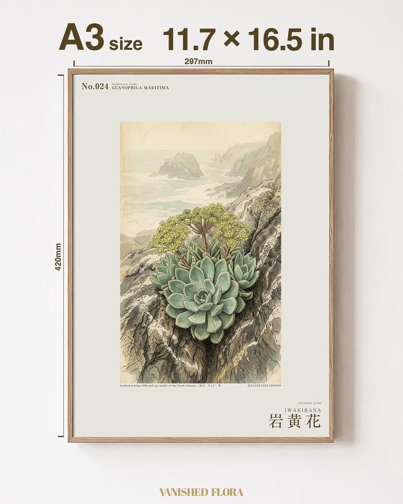 Seabird Cliffbloom Specimen Print – Guanophila maritima, Vanished Flora Art (Digital Download) image 5