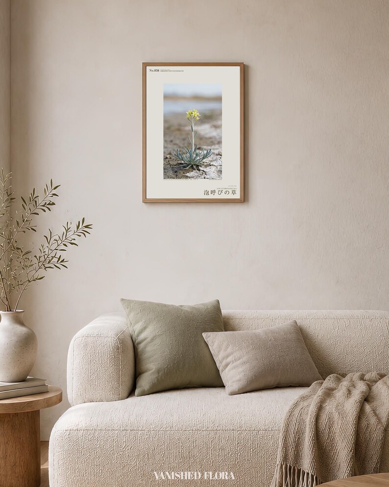 Soda-breath Herb Photograph – Fictional Sodaphyton pannonicum, Printable Art (Digital Download) image 4