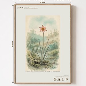Vessel-return Herb Print – Metallophila Reciproca Botanical Art (Digital Download) image 5