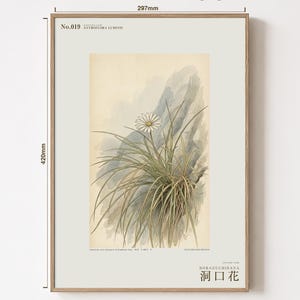 Cave-mouth Bloom Print – Antroflora luminis, Dark Academia Botanical Art (Digital Download) image 5