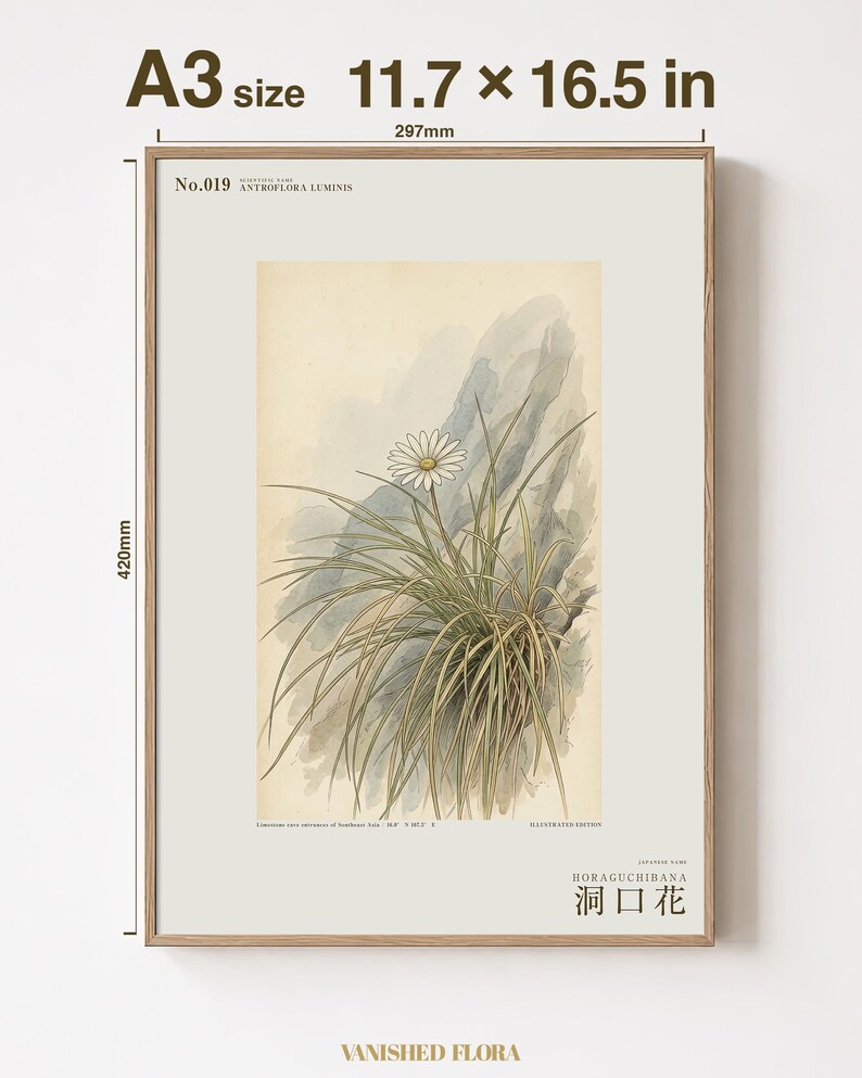Cave-mouth Bloom Print – Antroflora luminis, Dark Academia Botanical Art (Digital Download) image 5