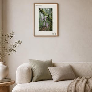 雲霧林の蘭の写真 – 想像上のヌビボラ・ペンデュラ、ゴシック調の壁掛けアート（デジタルダウンロード） 画像 4