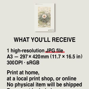 Fog Hourglass Botanical Print – Imaginary Atacama Desert Flower (Digital Download) image 8