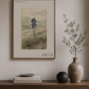 Afterstorm Bloom Print – Tonitrophila Montana, Tibetan Plateau Flower, Naturalist Wall Art (Digital Download) image 3