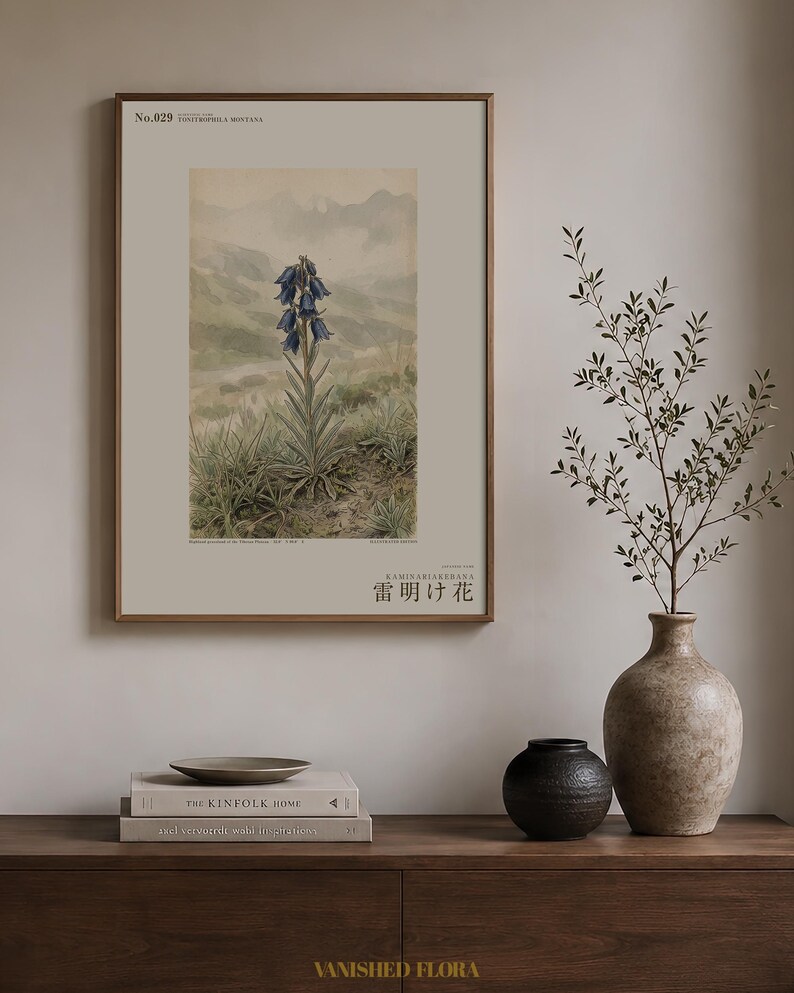Afterstorm Bloom Print – Tonitrophila Montana, Tibetan Plateau Flower, Naturalist Wall Art (Digital Download) image 3