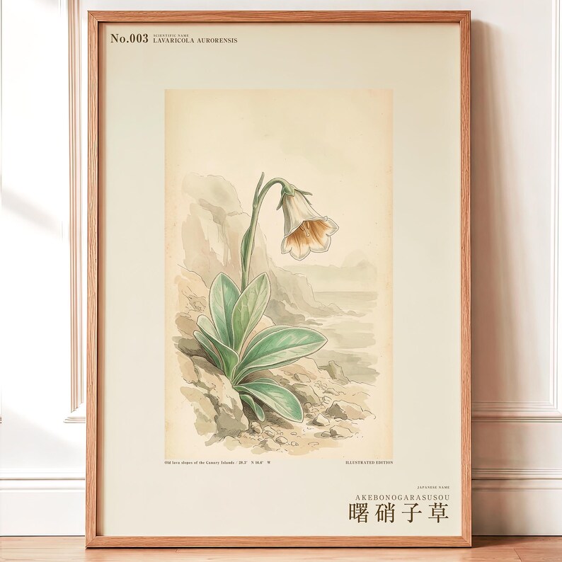 Imaginary Botanical Print – Aurora Glasscup, Canary Islands Lava Flower (Digital Download) image 1