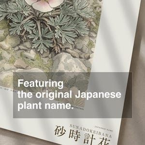 Fog Hourglass Botanical Print – Imaginary Atacama Desert Flower (Digital Download) image 6