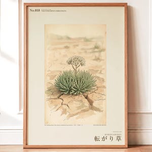 Wandering Tumbleweed Botanical Print – Speculative Desert Herb (Digital Download) image 1