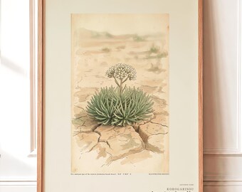 Wandering Tumbleweed Botanical Print – Speculative Desert Herb (Digital Download)