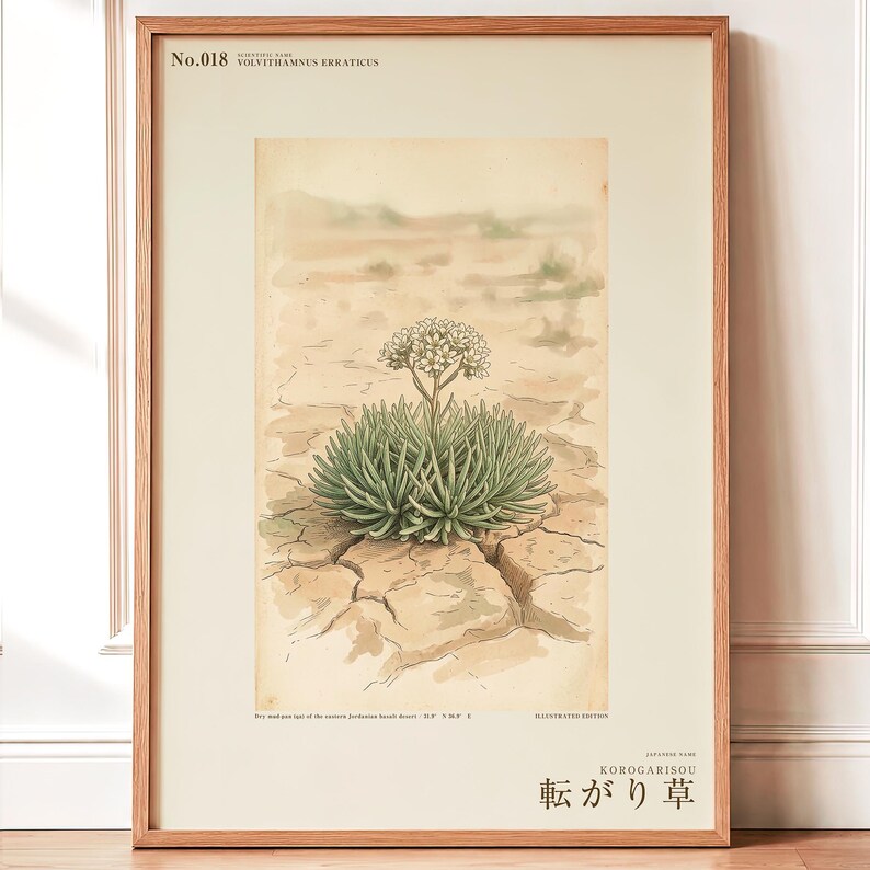 Wandering Tumbleweed Botanical Print – Speculative Desert Herb (Digital Download) image 1