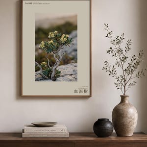 Socotran Bloodtear Print – Imaginary Succulent Tree, Gothic Interior Art (Digital Download) image 3