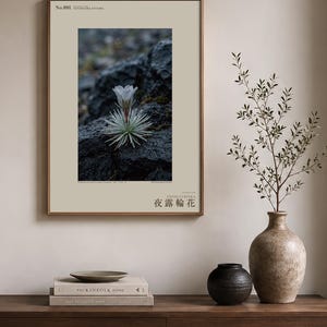 Vanishing Dewring Specimen Photograph – Ventiflora evanida, Patagonia Flower Art (Digital Download) image 3
