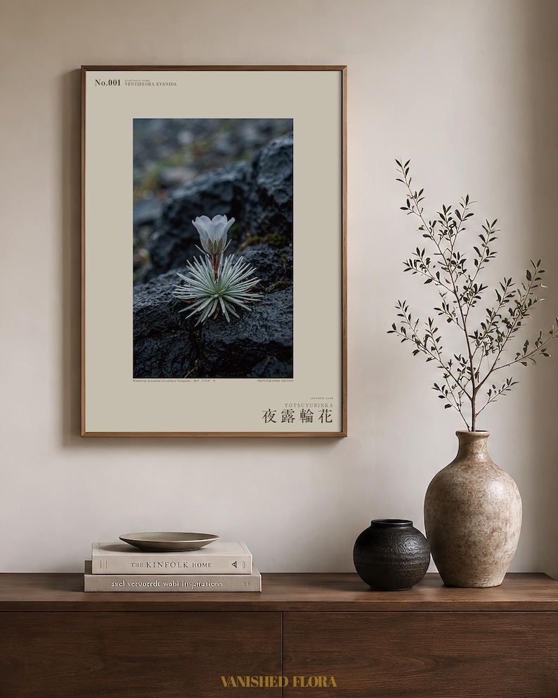 Vanishing Dewring Specimen Photograph – Ventiflora evanida, Patagonia Flower Art (Digital Download) image 3