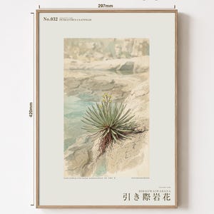 Receding Rockbloom Expedition Sketch – Fictional Caatinga Flower Print (Digital Download) image 5