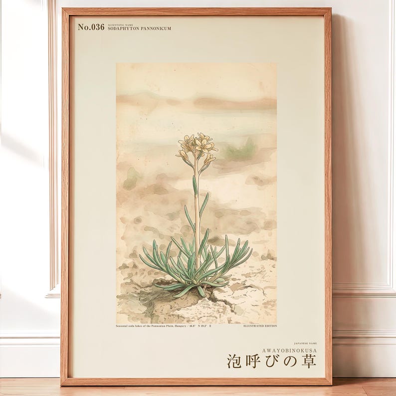 Kruidenprint voor een frisse adem – Botanische studie van Sodaphyton pannonicum (digitale download) afbeelding 1