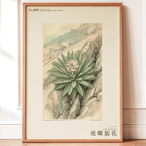 Night Spiral Botanical Print – Spiranthella Nocturna, Dark Academia Wall Art (Digital Download) image 1