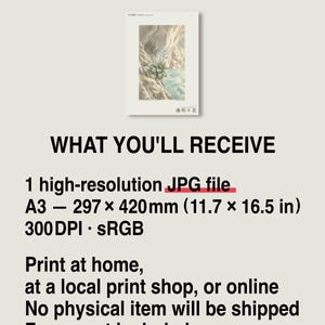 Tideglow Flower Botanical Print – Japanese Sea-cave Bloom, Dark Academia Wall Art (Digital Download) image 8