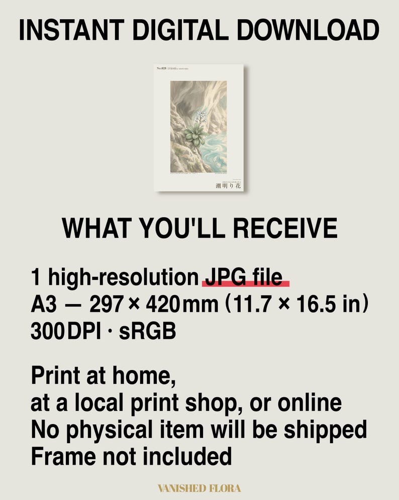 Tideglow Flower Botanical Print – Japanese Sea-cave Bloom, Dark Academia Wall Art (Digital Download) image 8