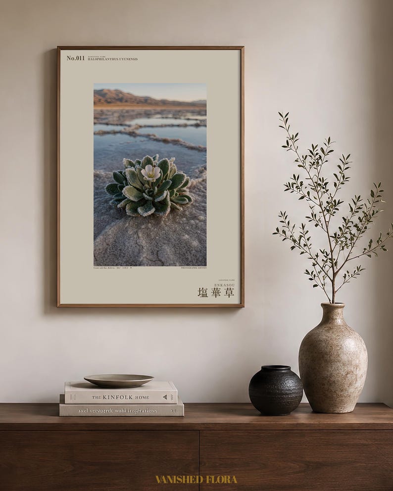 Salt Ember Print – Fictional Halophilanthus Flower, Dark Academia Photo Art (Digital Download) image 3
