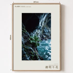 Tideglow Flower Print – Vanished Japanese Cave Flora, Gothic Wall Art (Digital Download) image 5