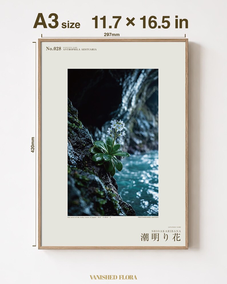 Tideglow Flower Print – Vanished Japanese Cave Flora, Gothic Wall Art (Digital Download) image 5