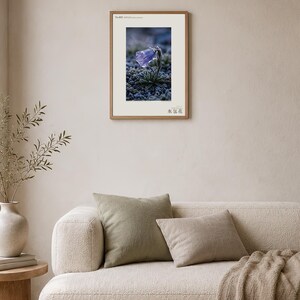 Ice-Clad Bell Flower Print – Crystallanthus altaicus, Moody Nature Photography (Digital Download) image 4