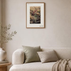 Fireborn Bloom Print – Imaginary Pyrophila Resurgens After Wildfire (Digital Download) image 4