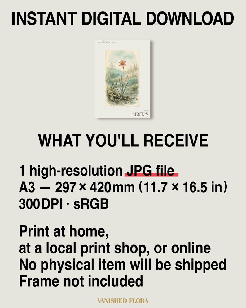 Vessel-return Herb Print – Metallophila Reciproca Botanical Art (Digital Download) image 8