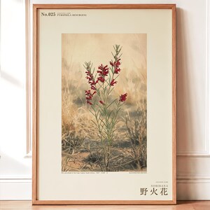 Fireborn Bloom Print – Pyrophila Resurgens, Extinct Cape Flower, Dark Academia Wall Art (Digital Download) image 1