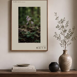 Imaginary Herb Print – Umbravena teraiensis, Dark Academia Botanical Art (Digital Download) image 3