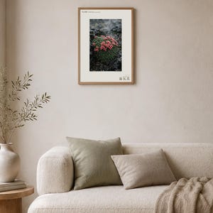 Archiwum Steambloom – wyimaginowany kwiat gorącego źródła w porannej parze, Vaporanthus islandicus, wystrój Cottagecore zdjęcie 4