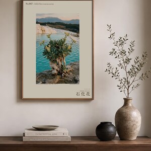 Petrifying Bloom Print – Lapidanthus Pamukkalensis, Pamukkale Terraces Wall Decor (Digital Download) image 3