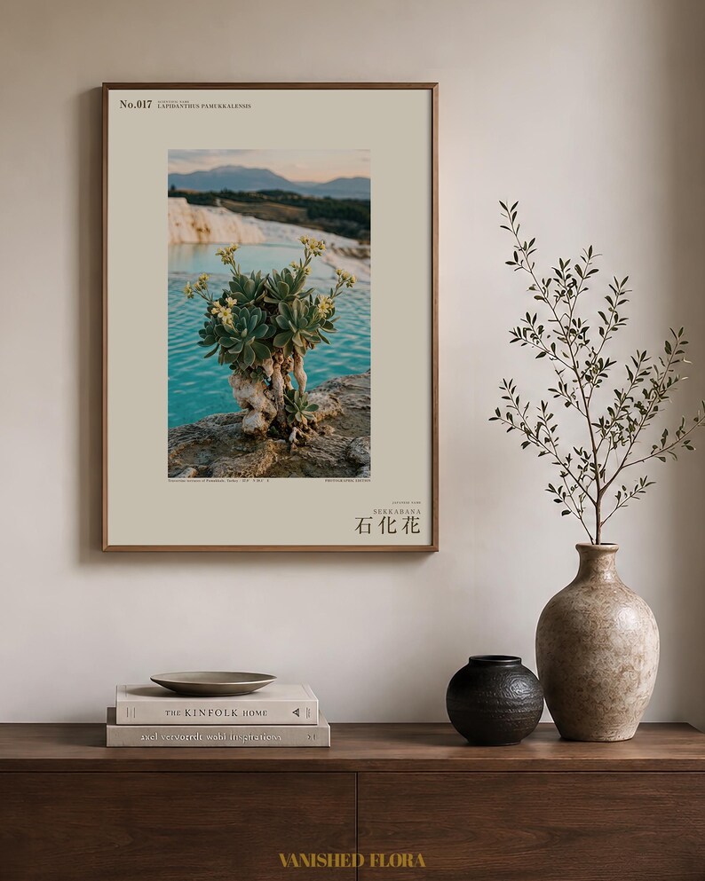 Petrifying Bloom Print – Lapidanthus Pamukkalensis, Pamukkale Terraces Wall Decor (Digital Download) image 3